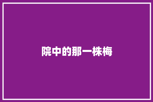 院中的那一株梅