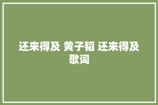 还来得及 黄子韬 还来得及歌词 休闲娱乐