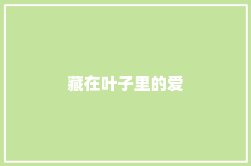 藏在叶子里的爱