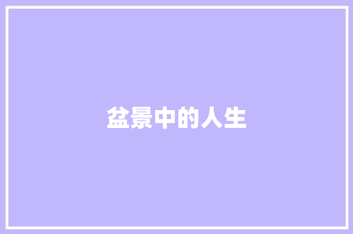 盆景中的人生