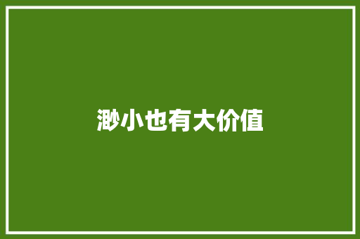 渺小也有大价值