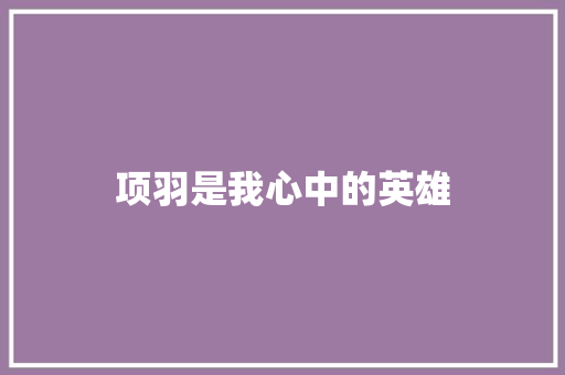 项羽是我心中的英雄