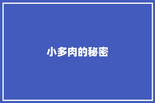 小多肉的秘密