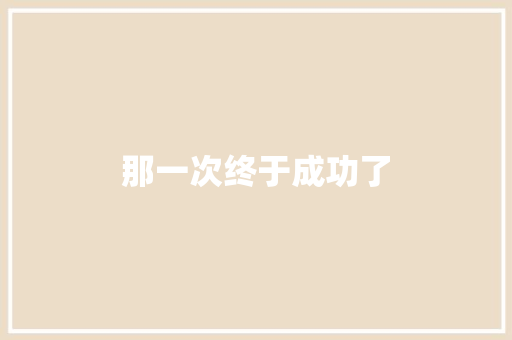 那一次终于成功了