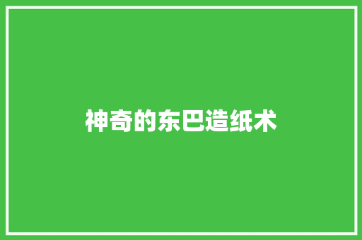 神奇的东巴造纸术