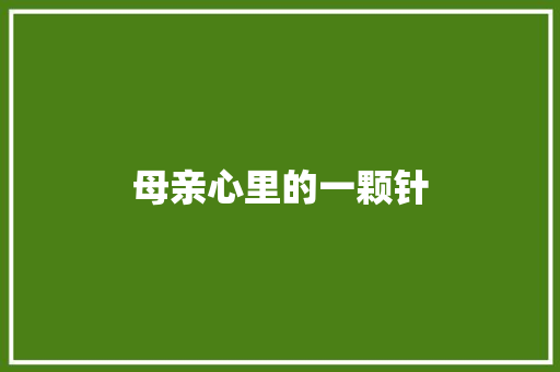 母亲心里的一颗针