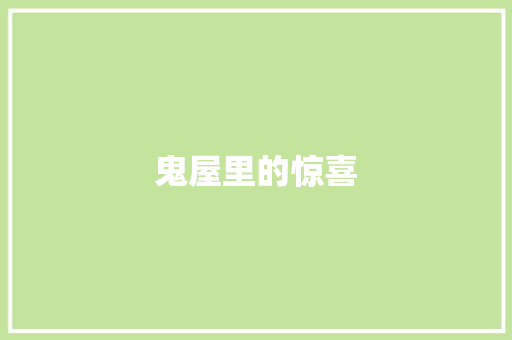 鬼屋里的惊喜