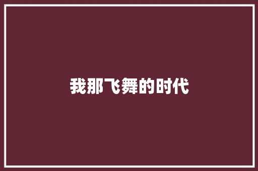 我那飞舞的时代