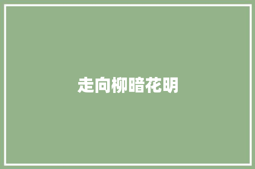 走向柳暗花明