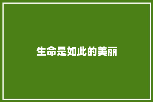 生命是如此的美丽