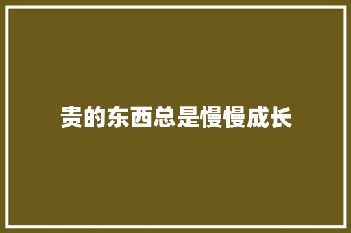贵的东西总是慢慢成长