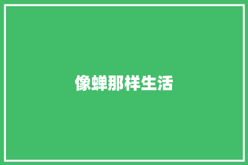 像蝉那样生活