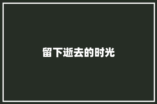 留下逝去的时光