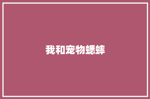 我和宠物蟋蟀