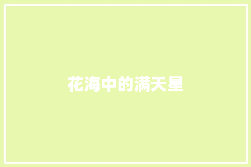 花海中的满天星
