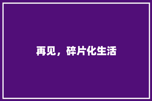 再见，碎片化生活