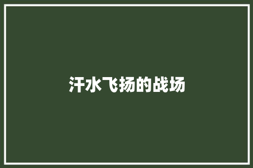 汗水飞扬的战场