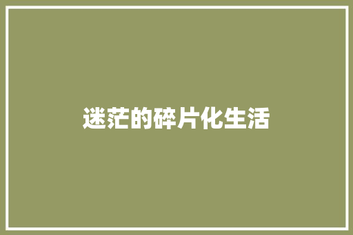 迷茫的碎片化生活