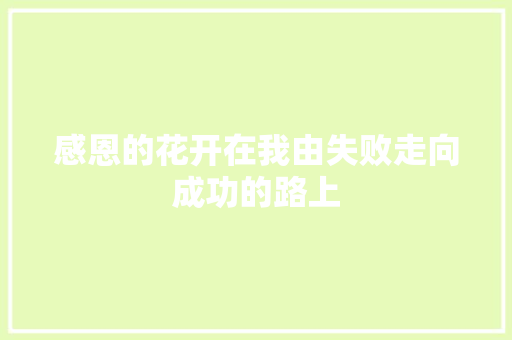 感恩的花开在我由失败走向成功的路上