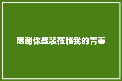 感谢你盛装莅临我的青春