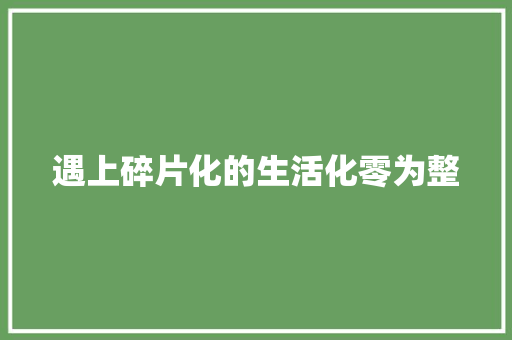 遇上碎片化的生活化零为整