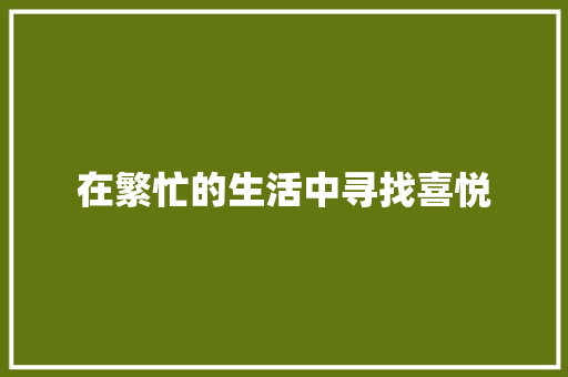 在繁忙的生活中寻找喜悦