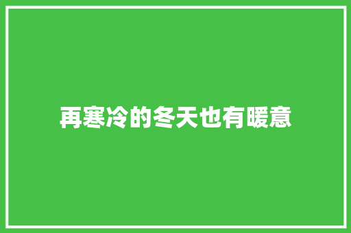 再寒冷的冬天也有暖意