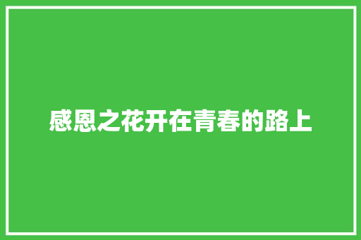感恩之花开在青春的路上