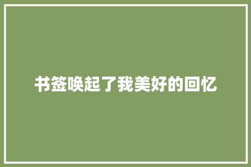 书签唤起了我美好的回忆
