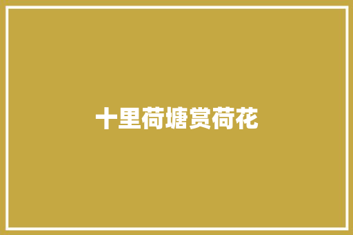 十里荷塘赏荷花