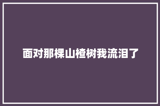 面对那棵山楂树我流泪了