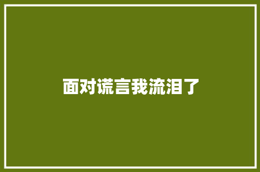 面对谎言我流泪了