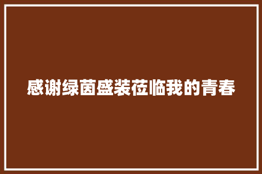 感谢绿茵盛装莅临我的青春