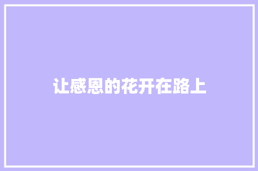 让感恩的花开在路上