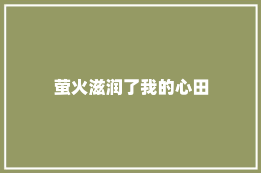 萤火滋润了我的心田