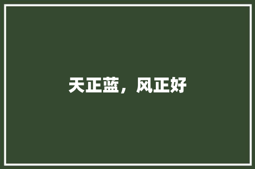 天正蓝，风正好