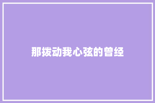 那拨动我心弦的曾经