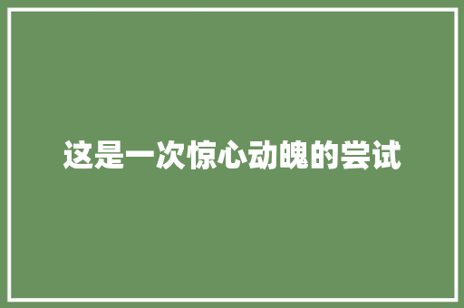 这是一次惊心动魄的尝试