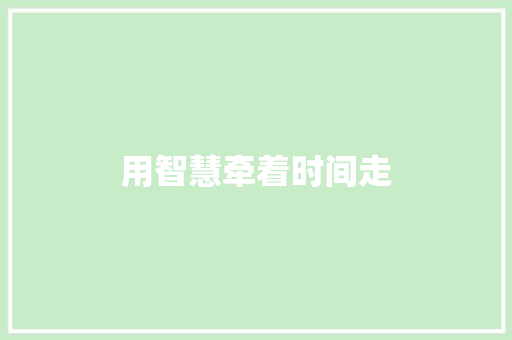 用智慧牵着时间走