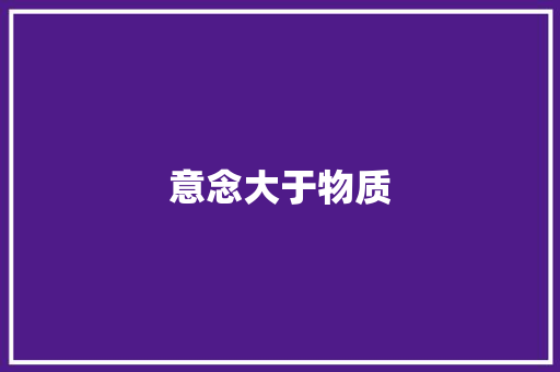 意念大于物质