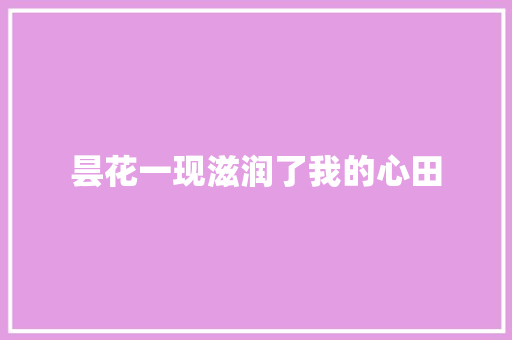 昙花一现滋润了我的心田
