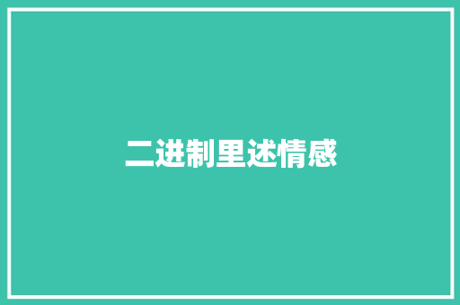 二进制里述情感