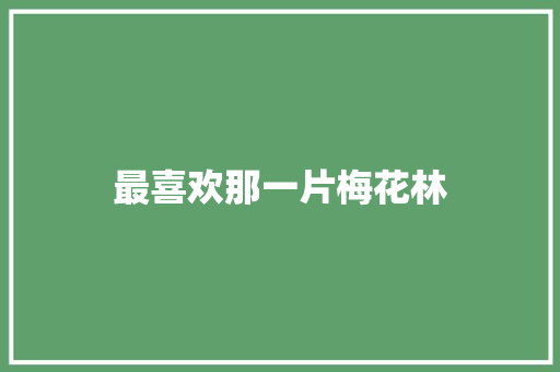 最喜欢那一片梅花林