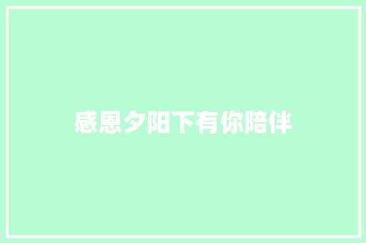 感恩夕阳下有你陪伴