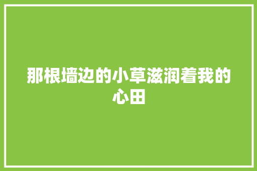 那根墙边的小草滋润着我的心田