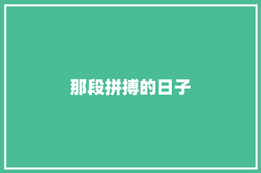 那段拼搏的日子
