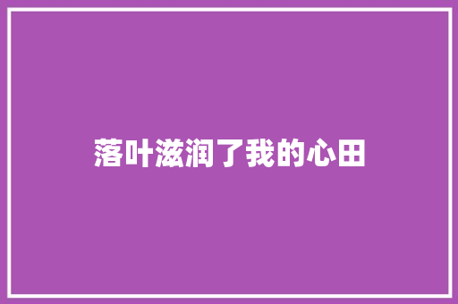 落叶滋润了我的心田