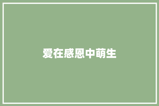 爱在感恩中萌生