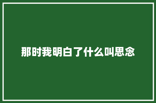 那时我明白了什么叫思念