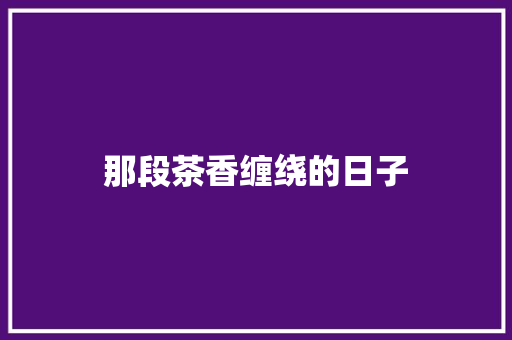 那段茶香缠绕的日子